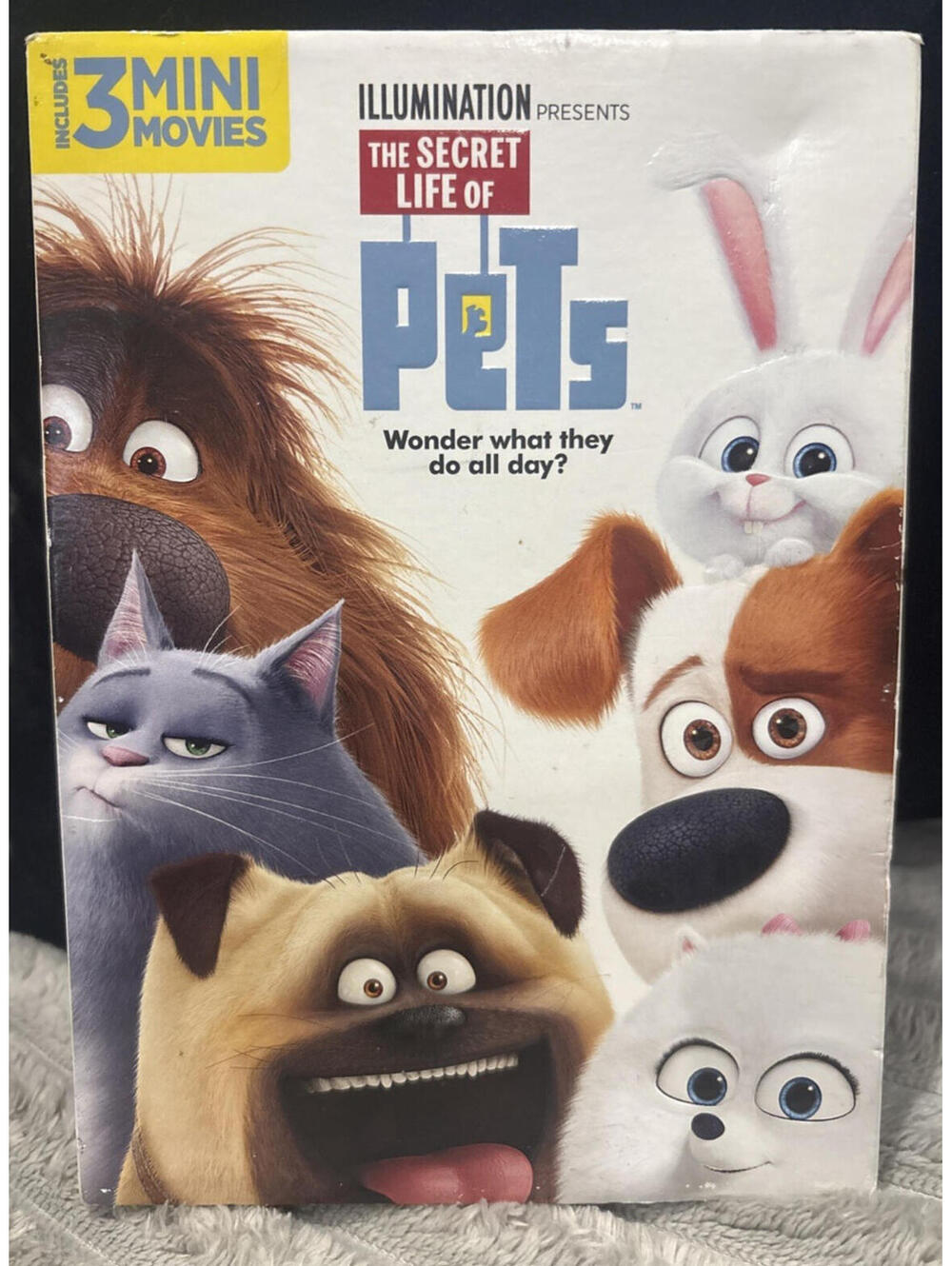The Secret Life of Pets DVD good condition